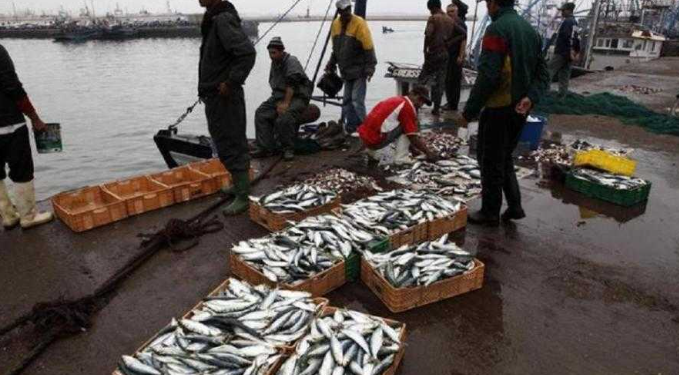 The Looting of Fisheries Resources in Western Sahara: A Violation of the Sahrawi People’s Rights The Looting of Fisheries Resources in Western Sahara: A Violation of the Sahrawi People’s Rights