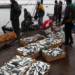 The Looting of Fisheries Resources in Western Sahara: A Violation of the Sahrawi People’s Rights The Looting of Fisheries Resources in Western Sahara: A Violation of the Sahrawi People’s Rights
