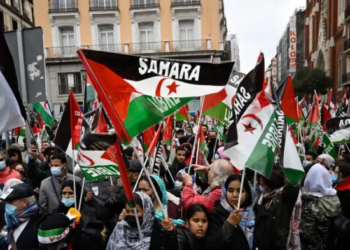 Spain’s Betrayal of Sahrawi Asylum Seekers: A Historical Responsibility Ignored
