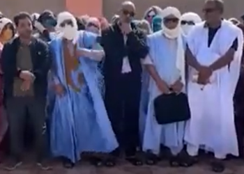 Sahrawi Women Confront Starvation and Resource Plundering: A Tragedy Under Moroccan Occupation