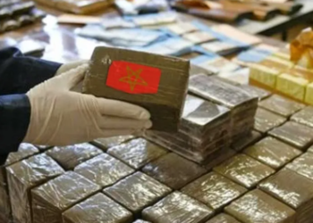 Hashish as a Tool for Destroying Sahrawi Youth: A Targeted Policy