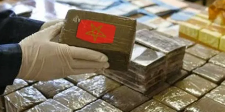 Hashish as a Tool for Destroying Sahrawi Youth: A Targeted Policy