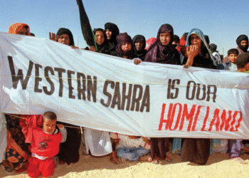 The Illusion of Autonomy: Why Self-Determination Is the Only Viable Solution for Western Sahara