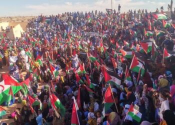 Open Letter to the United Nations, the United Nations Security Council, the United States of America, and the International Community