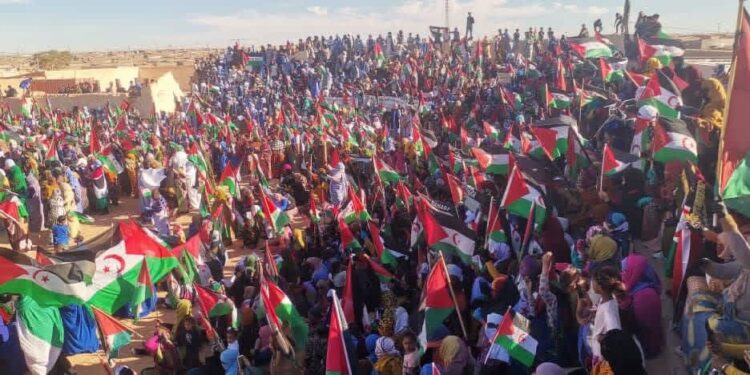 Open Letter to the United Nations, the United Nations Security Council, the United States of America, and the International Community