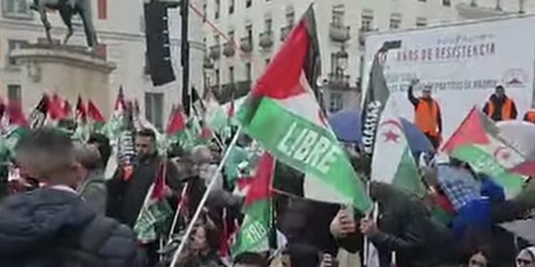 Thousands of Sahrawis Demonstrate in Madrid and Mallorca Rejecting the Autonomy Plan and Calling on Spain to Assume Its Historical Responsibility in Western Sahara