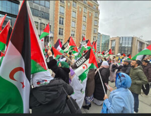 Sahrawi Communities in Europe Protest Before the European Commission Against Illegal Exploitation of Western Sahara’s Resources