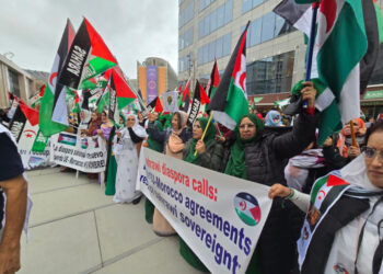 Sahrawi Communities in Europe Protest Before the European Commission Against Illegal Exploitation of Western Sahara’s Resources