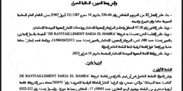 Leaked Documents Expose Land Grabbing and Corruption Network in Western Sahara